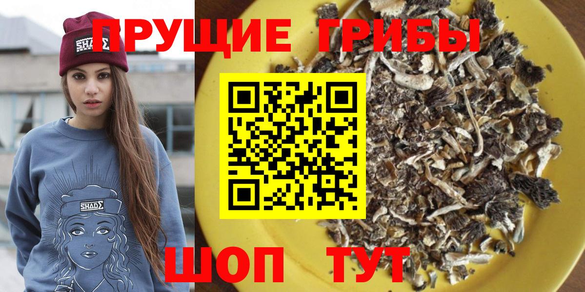 Псилоцибиновые грибы GOLDEN TEACHER  Вход с VPN  Азов 